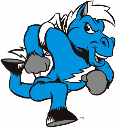 Middle Tennessee Blue Raiders 0-Pres Mascot Logo diy iron on heat transfer